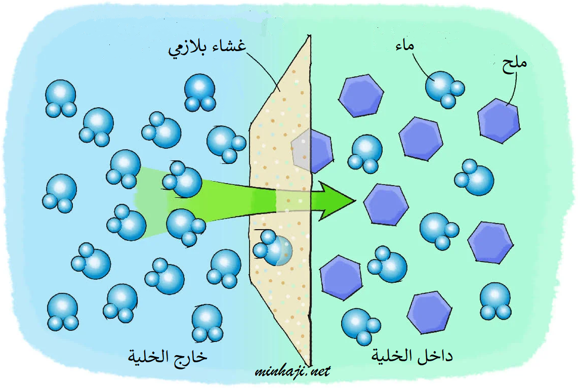 الخاصية الأسموزية